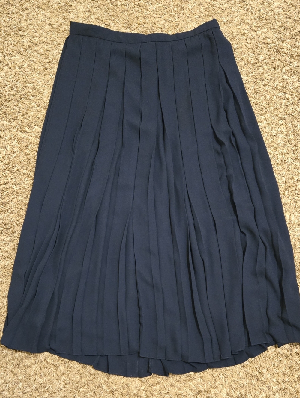 J. Crew Black Pleated Maxi Skirt